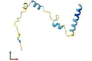 Protein Structure (PS) image for Nuclear Protein, Transcriptional Regulator, 1 (NUPR1) (AA 1-80) protein (Fc Tag) (ABIN7556237)