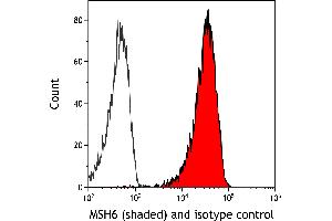 anti-MutS Homolog 6 (E. Coli) (MSH6) (AA 1310-1360) antibody