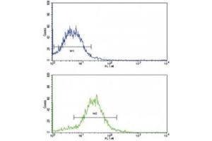 Flow cytometric analysis of HepG2 cells using BMPR2 antibody (green) (BMPR2 抗体  (AA 28-59))