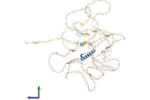 Protein Structure (PS) image for Nuclear Fragile X Mental Retardation Protein Interacting Protein 2 (NUFIP2) (AA 1-692) protein (His tag) (ABIN7557447)