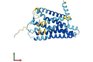 Protein Structure (PS) image for Olfactory Receptor, Family 1, Subfamily F, Member 1 (OR1F1) (AA 1-312) protein (His tag) (ABIN7550233)
