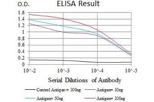 Black line: Control Antigen (100 ng), Purple line: Antigen(10 ng), Blue line: Antigen (50 ng), Red line: Antigen (100 ng), (TP53BP1 抗体  (AA 574-773))