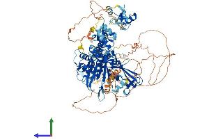 Protein Structure (PS) image for Ubiquitin Specific Peptidase 33 (USP33) (AA 1-942) protein (His tag) (ABIN7555922)