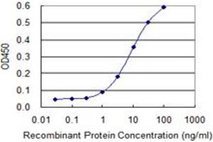 Detection limit for recombinant GST tagged SNAI2 is 0. (SLUG 抗体  (AA 97-169))
