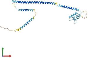 AlphaFold protein structure predicition of Mouse Recombinant Cenpk Protein, UniprotID Q9ESN5