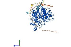 AlphaFold protein structure predicition of Mouse Recombinant Hdac1 Protein, UniprotID O09106