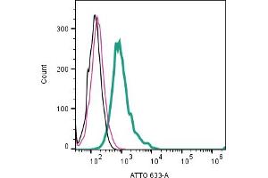 Cell surface detection of nAChRα7 by indirect flow cytometry in mouse J774 macrophage cells:Cells only.