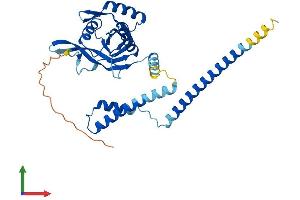 Protein Structure (PS) image for COP9 Signalosome Complex Subunit 6 (COPS6) (AA 1-327) protein (His tag) (ABIN7553560)