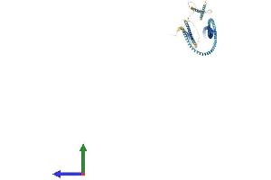 Protein Structure (PS) image for serologically Defined Colon Cancer Antigen 8 (SDCCAG8) (AA 1-717) protein (His tag) (ABIN7558329)