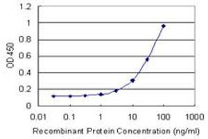 Detection limit for recombinant GST tagged ANXA9 is 1 ng/ml as a capture antibody. (Annexin A9 抗体  (AA 1-338))