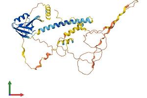 AlphaFold protein structure predicition of Human Recombinant TAMALIN Protein, UniprotID Q7Z6J2 (Tamalin/GRASP Protein (AA 1-395) (His tag))