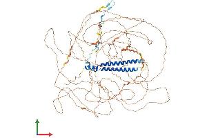 Protein Structure (PS) image for Sin3A-Associated Protein, 130kDa (SAP130) (AA 1-1057) protein (His tag) (ABIN7564365)