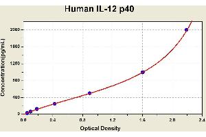 Diagramm of the ELISA kit to detect Human 1 L-12 p40with the optical density on the x-axis and the concentration on the y-axis. (IL12B ELISA 试剂盒)