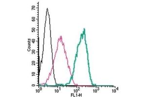 Cell surface detection of Calcium Sensing Receptor by indirect flow cytometry in live intact human THP-1 monocytic leukemia cells:(black line) Cells. (CASR 抗体  (Extracellular, N-Term))