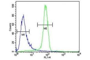 Anti-EGFR antibody flow cytometric analysis of K562 cells (right histogram) compared to a negative control cell (left histogram). (EGFR 抗体  (AA 1004-1033))