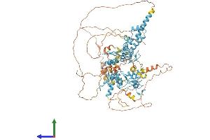 Protein Structure (PS) image for Zinc Finger with KRAB and SCAN Domains 5 (ZKSCAN5) (AA 1-839) protein (His tag) (ABIN7545729)