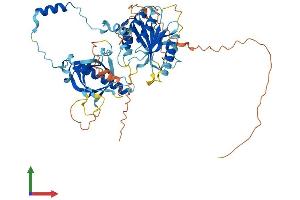 AlphaFold protein structure predicition of Mouse Recombinant M1ap Protein, UniprotID Q9Z0E1