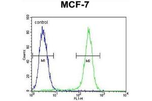 Flow Cytometry (FACS) image for anti-Complement Component 1, Q Subcomponent-Like 4 (C1QL4) (AA 7-36), (N-Term) antibody (ABIN950859)