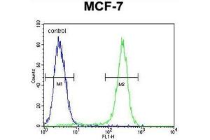 C1QL4 Antibody (N-term) flow cytometric analysis of MCF-7 cells (right histogram) compared to a negative control cell (left histogram). (C1QL4 抗体  (N-Term))