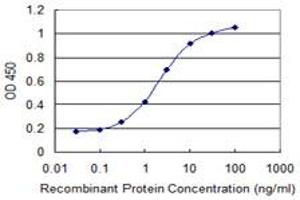 Detection limit for recombinant GST tagged CKMT1B is 0. (CKMT1B 抗体  (AA 327-417))