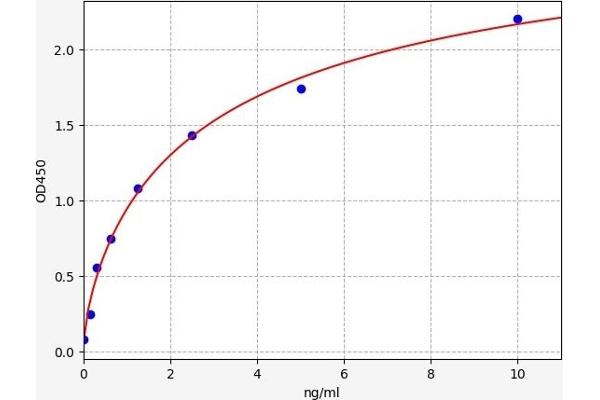 Ephrin A3 ELISA 试剂盒