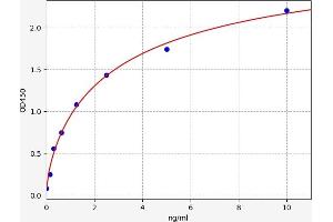 Typical standard curve (Ephrin A3 ELISA 试剂盒)