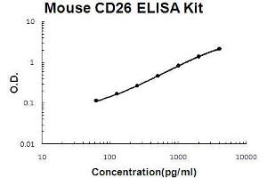 Mouse CD26/DPP4 PicoKine ELISA Kit standard curve