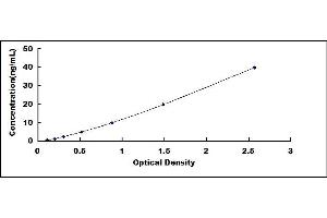 Typical standard curve (PCOLCE ELISA 试剂盒)