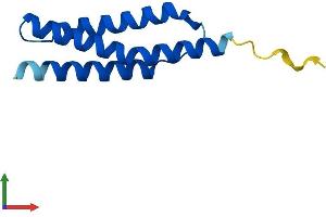 Protein Structure (PS) image for alpha Hemoglobin Stabilizing Protein (aHSP) (AA 1-102) protein (His tag) (ABIN7552135)