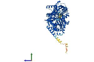 Protein Structure (PS) image for NAD Synthetase 1 (NADSYN1) (AA 1-725) protein (His tag) (ABIN7558151)