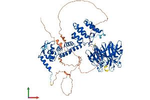 Protein Structure (PS) image for Kelch-Like 1 (KLHL1) (AA 1-751) protein (His tag) (ABIN7561535)