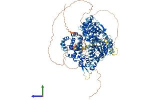 Protein Structure (PS) image for DNA Helicase HEL308 (HEL308) (AA 1-1069) protein (His tag) (ABIN7563655)