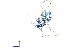 Protein Structure (PS) image for Ets Homologous Factor (EHF) (AA 1-300) protein (His tag) (ABIN7562525)