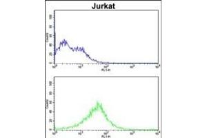 Flow Cytometry (FACS) image for anti-Regulator of Chromosome Condensation (RCC1) and BTB (POZ) Domain Containing Protein 2 (RCBTB2) (AA 71-99), (N-Term) antibody (ABIN390702)