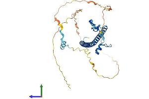 Protein Structure (PS) image for D Site of Albumin Promoter (Albumin D-Box) Binding Protein (DBP) (AA 1-325) protein (His tag) (ABIN7546934)