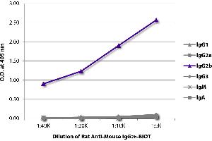 ELISA plate was coated with purified mouse IgG1, IgG2a, IgG2b, IgG3, IgM, and IgA. (大鼠 anti-小鼠 IgG2b Antibody (Biotin))