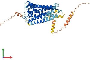 Protein Structure (PS) image for Prostaglandin F Receptor (FP) (PTGFR) (AA 1-359) protein (His tag) (ABIN7550664)