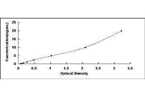 Typical standard curve (POLG ELISA 试剂盒)