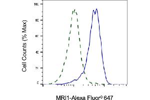 Validation of MRI1 knockdown using flow cytometry. (MRI1 抗体)