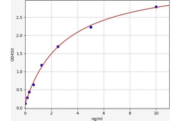 GADD45G ELISA 试剂盒