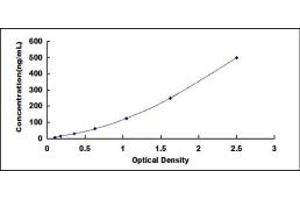 Typical standard curve (TYR ELISA 试剂盒)