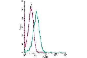 Cell surface detection of nAChR α4 by indirect flow cytometry in live intact human Jurkat T-cell leukemia cells:  + goat-anti-rabbit-FITC.