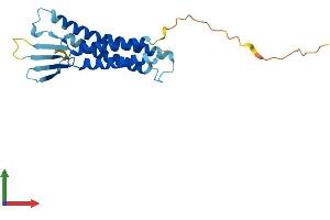 Protein Structure (PS) image for Claudin 9 (CLDN9) (AA 1-217) protein (His tag) (ABIN7556356)