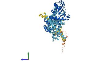 AlphaFold protein structure predicition of Mouse Recombinant Adck5 Protein, UniprotID Q80V03