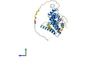 AlphaFold protein structure predicition of Human Recombinant NR2F2 Protein, UniprotID P24468