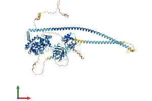 Protein Structure (PS) image for RAB GTPase Activating Protein 1 (RABGAP1) (AA 1-1064) protein (His tag) (ABIN7561966)