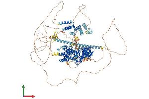 Protein Structure (PS) image for Budding Uninhibited By Benzimidazoles 1 Homolog (Yeast) (BUB1) (AA 1-1085) protein (His tag) (ABIN7552819)