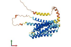 Protein Structure (PS) image for Solute Carrier Family 39 (Zinc Transporter), Member 13 (SLC39A13) (AA 1-361) protein (His tag) (ABIN7559041)