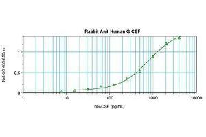 Image no. 2 for anti-Colony Stimulating Factor 3 (Granulocyte) (CSF3) antibody (ABIN465578) (G-CSF 抗体)