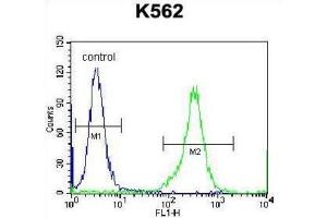 Flow Cytometry (FACS) image for anti-Kell Blood Group, Metallo-Endopeptidase (KEL) antibody (ABIN2998314) (KEL 抗体)